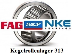 Kegelrollenlager 313