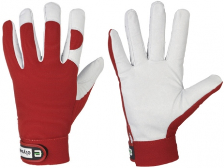Nappaleder Handschuhe Carver (60 Paar)